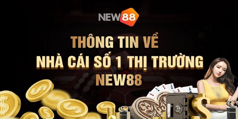 Hỏi và đáp toàn bộ về điều khoản và điều kiện tại hệ thống New88