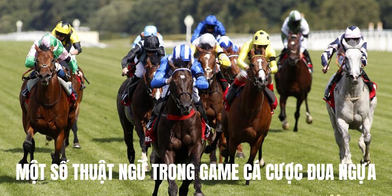 Một số thuật ngữ trong game cá độ đua ngựa